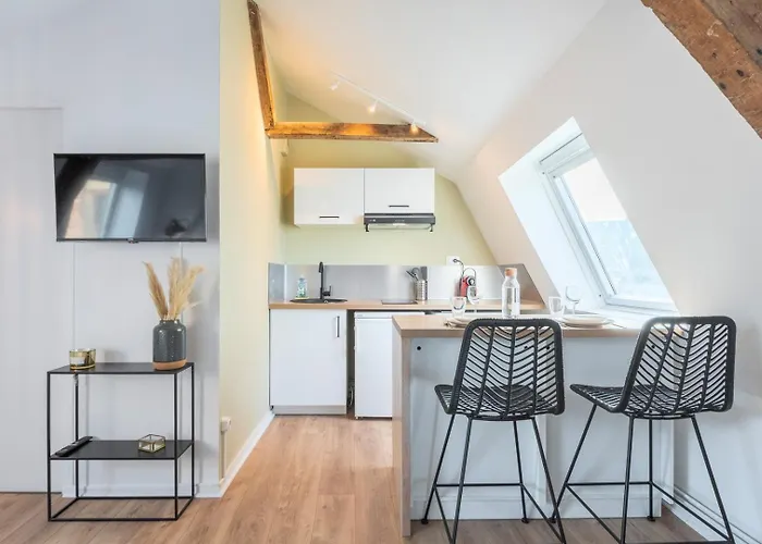 Old Lille - Equipped And Bright Studio !